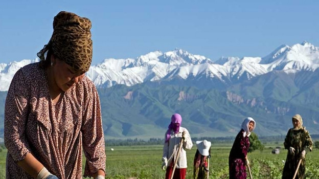 Правительство Швеции выделило $5 млн на программу продержки экономических прав сельских женщин в 7 странах, в том числе и в Кыргызстане — Tazabek