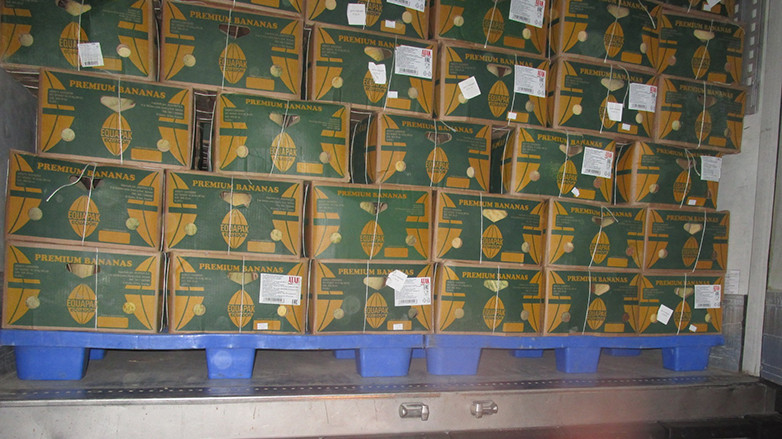 Россельхознадзор вернул свыше 214 тонн подкарантинной продукции в Казахстан и Кыргызстан — Tazabek