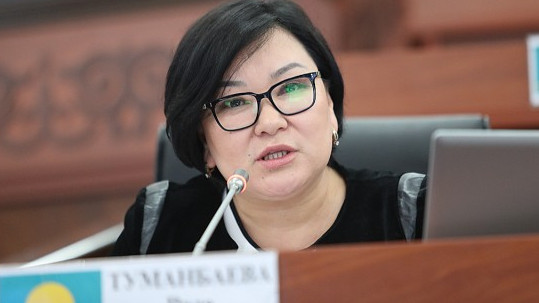Депутат: Не помешает ли потребителям и предпринимателям временное ограничение на ввоз в Кыргызстан мяса птицы из Казахстана? — Tazabek