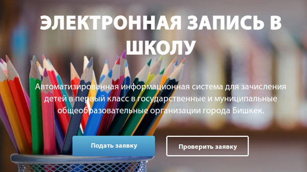 Электронная запись в школы Бишкека. Зарегистрировано более 5 тысяч заявок