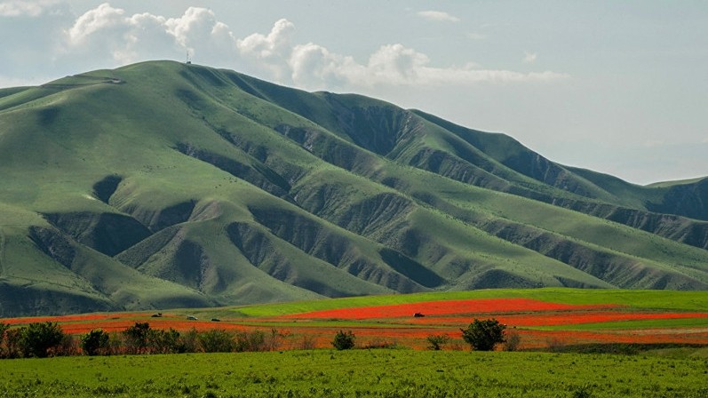 В Кыргызстане рынок собственности на землю не функционирует надлежащим образом, - доклад — Tazabek