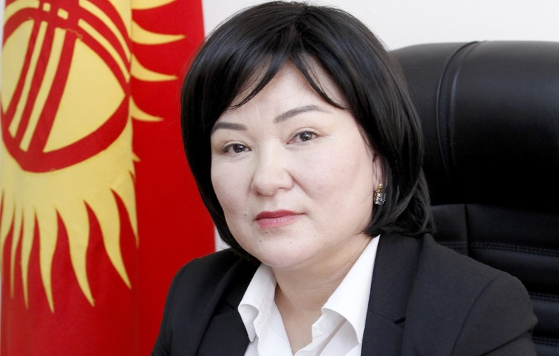 Депутат Р.Туманбаева спросила у министра экономики А.Новикова, почему в 2016 году был спад в энергосекторе на 3,5% — Tazabek