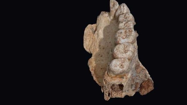 Найдены древнейшие останки людей за пределами Африки
