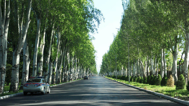 Премьер М.Абылгазиев ознакомился с ходом реконструкции улиц города Бишкек — Tazabek