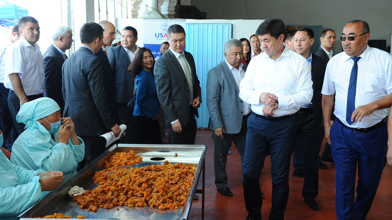 Премьер М.Абылгазиев посмотрел, как в Баткене перерабатывают абрикос и строят логистический центр (фото) — Tazabek