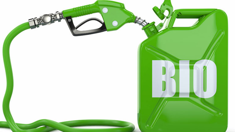 Правительство одобрило законопроект о биотопливе — Tazabek