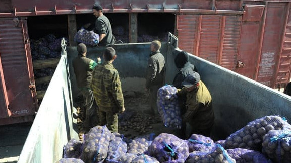 Министр Н.Мурашев предлагает отправлять картофель в Узбекистан по железной дороге — Tazabek