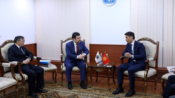 Глава МИД Кыргызстана и президент Тюркской академии обсудили вопросы сотрудничества