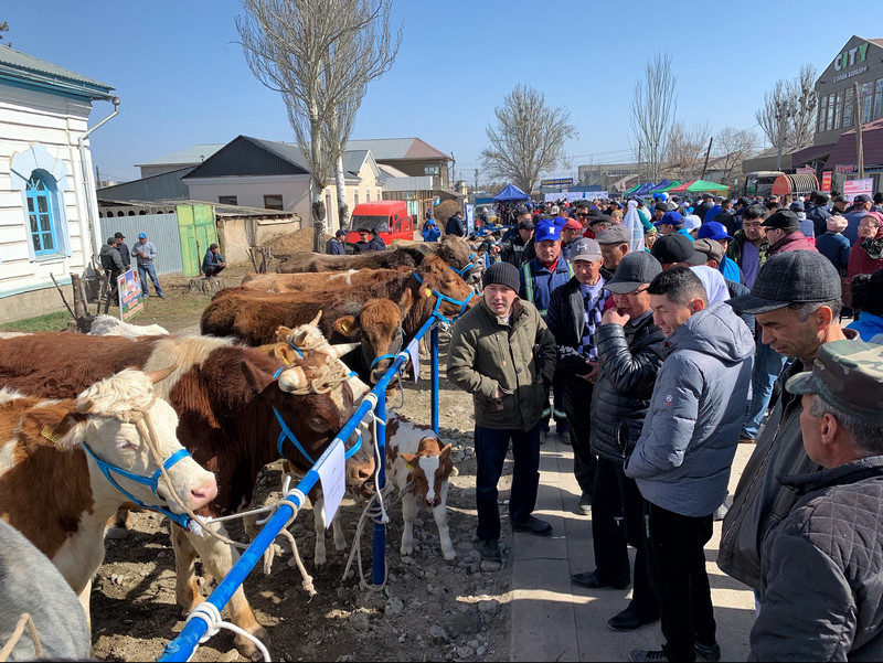PR: Весенняя ярмарка в Караколе собрала более 1000 гостей со всей Иссык-Кульской области — Tazabek