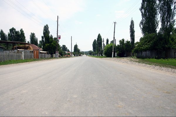 Общая протяженность автодорог и улиц в Кыргызстане составляет 34 тыс. км — Tazabek