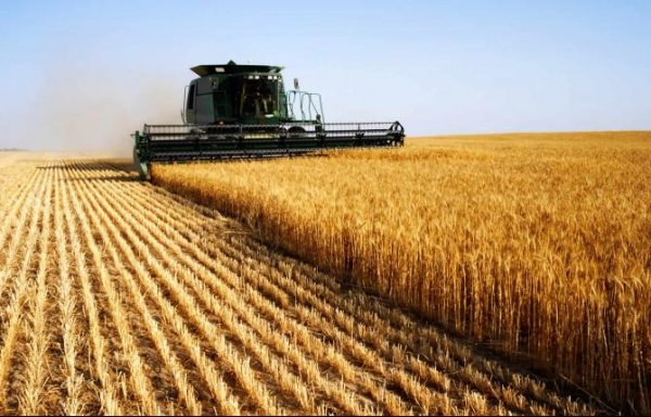 Минсельхоз предлагает утвердить программу развития сельского хозяйства в КР на 2017-2020 годы — Tazabek