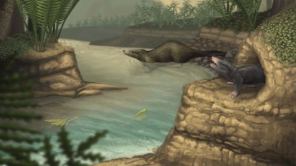 Ученые: млекопитающие начали вести дневной образ жизни после вымирания динозавров