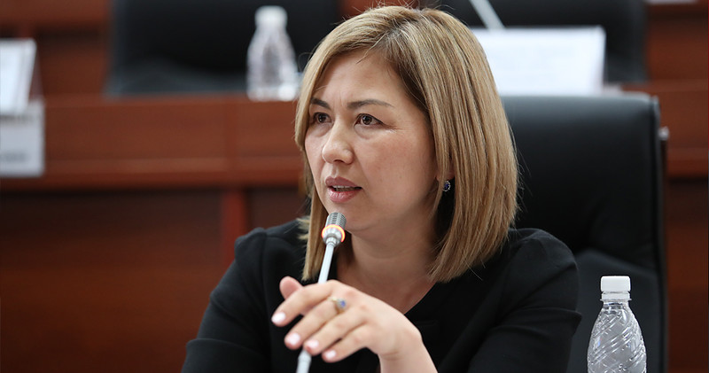 Депутат предложила рассмотреть введение моратория на проверки новых субъектов малого и среднего бизнеса — Tazabek