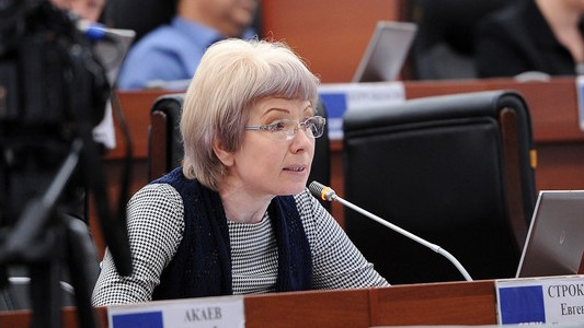 Депутат Строкова снова недовольна министром образования. На этот раз ей не понравилась командировка Кудайбердиевой
