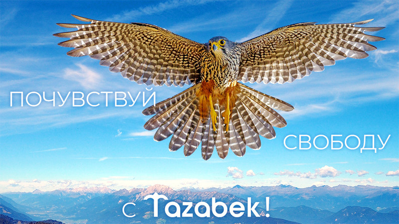 Почувствуйте свободу вместе с Tazabek — Tazabek