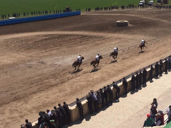 Фото – На столичном ипподроме проходят конные скачки, посвященные 140-летию  Бишкека - Sport АКИpress