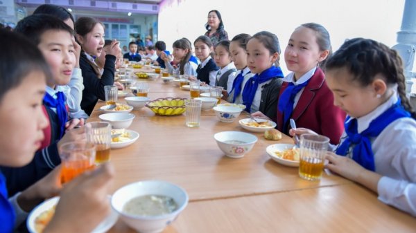 Япония выделяет 5,8 млн сомов на программу горячих обедов  кыргызстанским школьникам