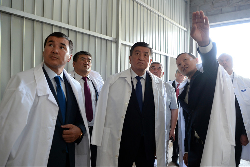Президент С.Жээнбеков посетил агропромышленный комплекс по переработке сафлора — Tazabek