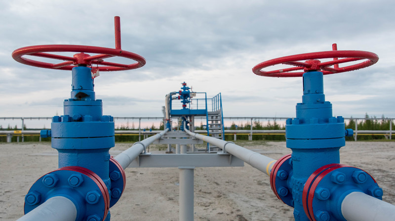 Газовая отрасль ЕАЭС: В 2017 году страны добыли 709,9 млрд куб.м., экспортировали только Россия и Казахстан — Tazabek