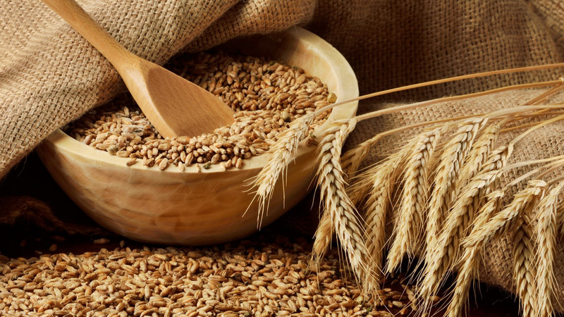 Фонд госматрезервов увеличил до 198,4 млн сомов сумму тендера на покупку зерна пшеницы — Tazabek