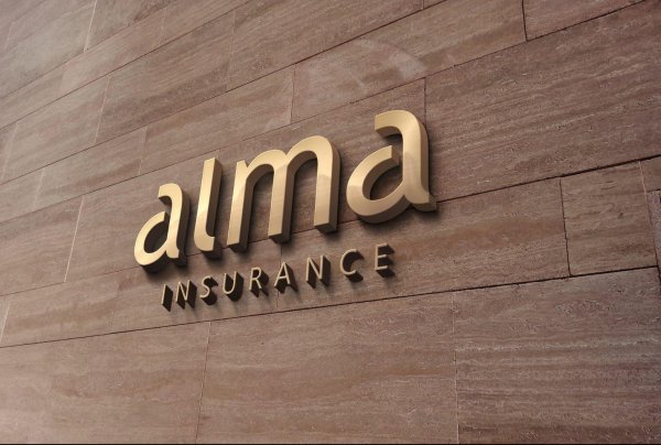 За январь-февраль 2017 года страховая компания «Алма-Иншуренс» застраховала риски на общую страховую сумму 448,4 млн сомов — Tazabek