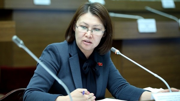 Депутат ЖК выразила претензии к Минобразования, заявив, что ведомство не владеет информацией о реализации программы «Кадры XXI века»