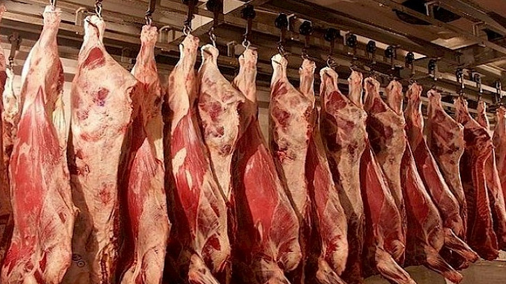 Правительство внесло поправки в правила распределения объемов тарифных квот на ввоз отдельных видов мяса — Tazabek
