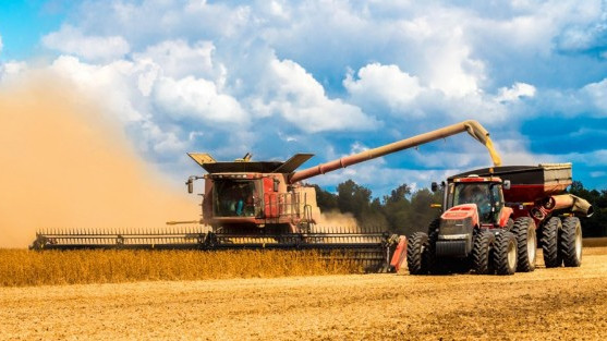 За последние 4 года объем сбора зерна сократился на 19,1 тыс. тонн — Tazabek
