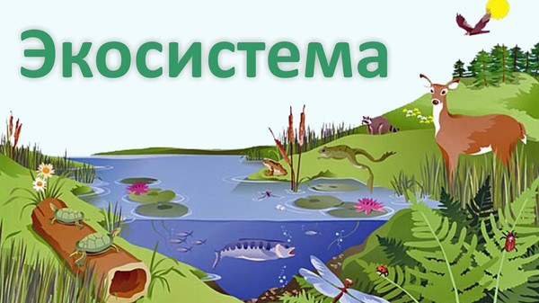 Вопрос ведения мониторинга и изучения экосистемы Центральной Азии обсудят на конференции на Иссык-Куле