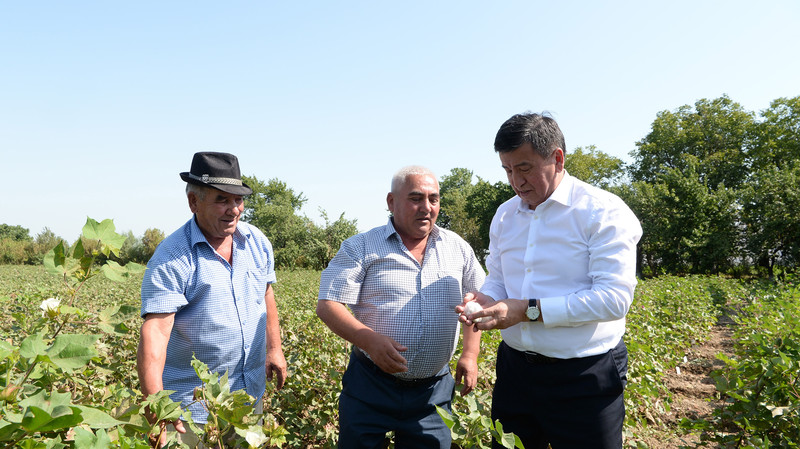С.Жээнбеков: Кыргызстан может обеспечить сельхозпродукцией рынки ЕАЭС, Китая и Евросоюза в рамках ВСП+ — Tazabek
