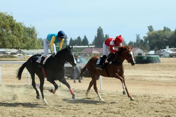 Игры кочевников: Кыргызстанцы завоевали 3 золота на конных скачках (список  призеров) - Sport АКИpress