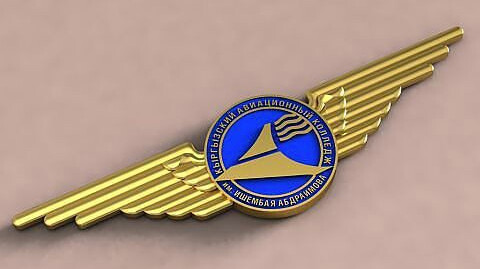 Кыргыз авиациялык институтунун директорлук кызматына сынак жарыяланды