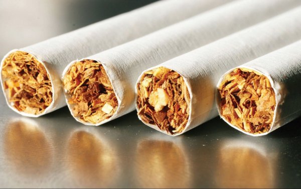 Депутат ЖК предложил дать право правительству устанавливать минимальные розничные цены на табачные изделия для пополнения республиканского бюджета — Tazabek