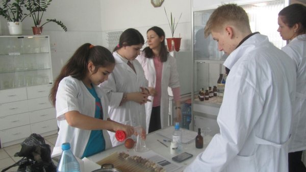 Школьники из Кыргызстана провели исследования на базе Кемеровского института пищевой промышленности