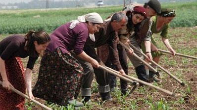 Минсельхоз: Занятость населения в сельхозпроизводстве составляет около 32% — Tazabek