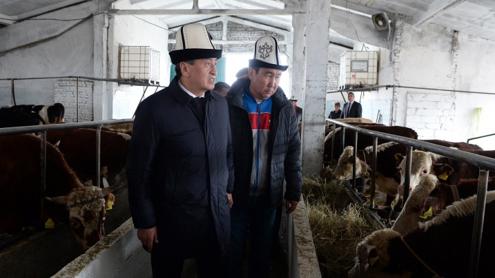 Президент С.Жээнбеков ознакомился с деятельностью сельскохозяйственных кооперативов в Таласской области и с работой КПП на границе с РК — Tazabek