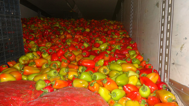 Россельхознадзор не пропустил 118 тонн перца и винограда из Кыргызстана — Tazabek