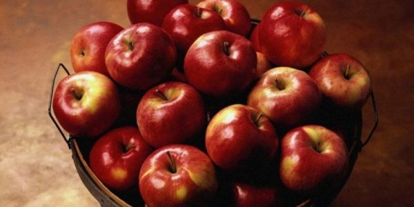 За I полугодие больше всего цены выросли на яблоки — 27,6% и гречку — 18,6% — Tazabek