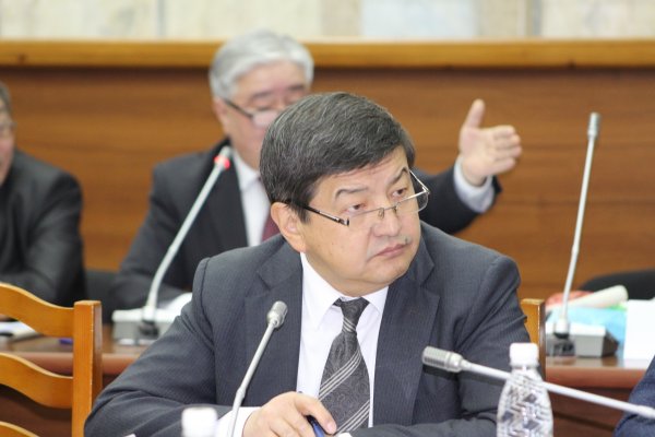 Если Кыргызстан перестроит экономику, то может стать воротами для Китая, - депутат — Tazabek