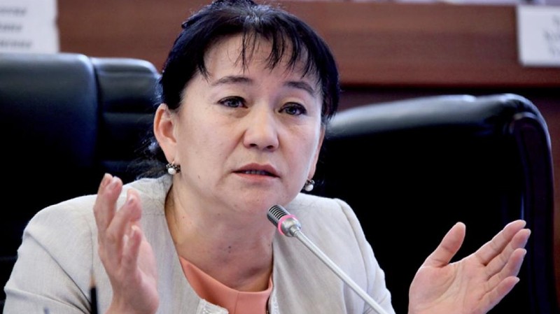 Депутат предложила правительству пересмотреть платы за лицензии во всех сферах — Tazabek