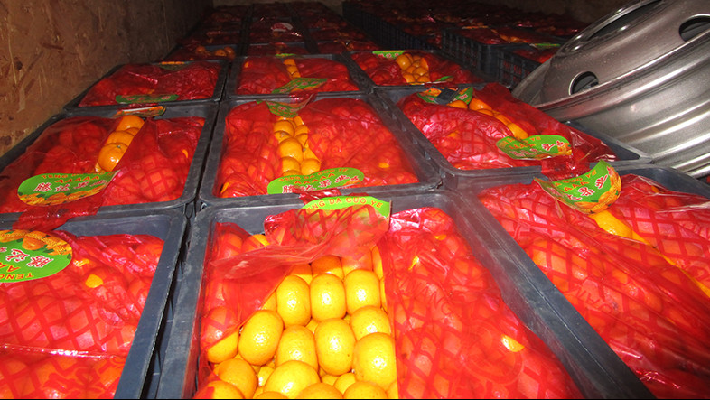 Россельхознадзор за неделю не пропустил 156 тонн растительной продукции из Казахстана и Кыргызстана — Tazabek