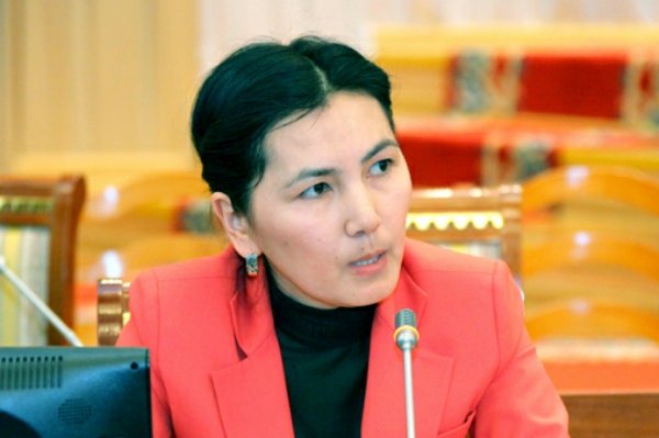 Из-за политики Нацбанка кредиты выдаются под 35%, - депутат А.Салянова — Tazabek