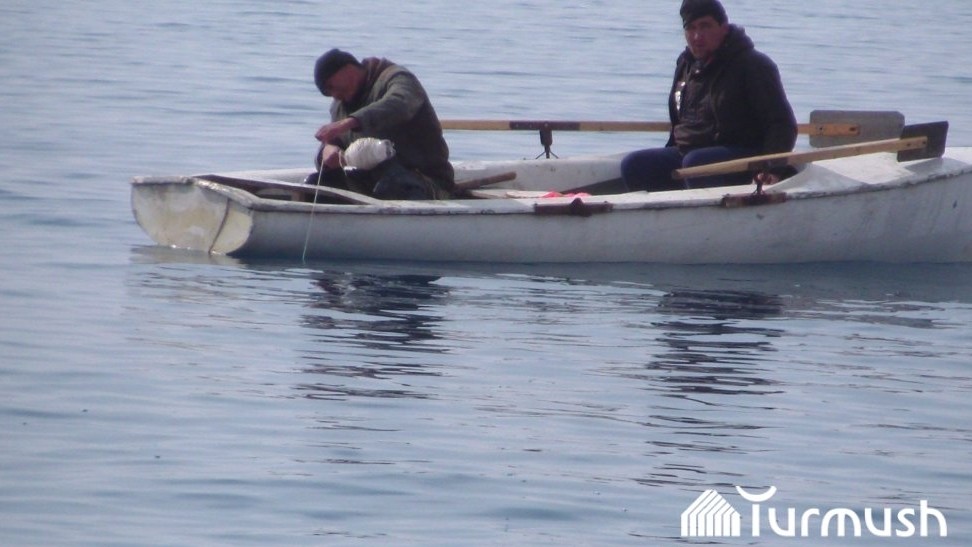 Браконьеры-рыболовы: 5 дел переданы в правоохранительные органы — Tazabek