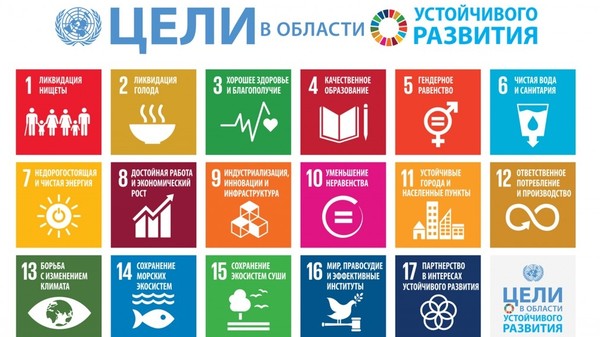 В 10 школах Бишкека молодежные организации проводят уроки о Целях устойчивого развития до 2030 года