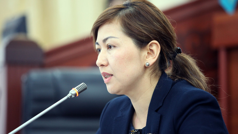 Депутат предложила ввести 5 степень свободы воздуха «Открытое небо» в Кыргызстане — Tazabek