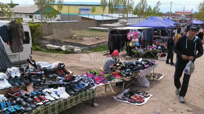 Рынки Иссык-Куля: Торговцы заплатили чуть более 11 млн сомов — Tazabek