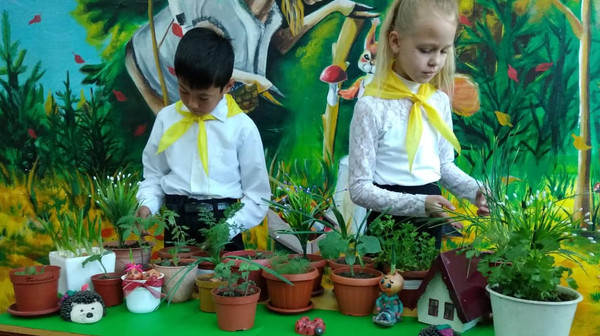 В школах и детсадах Токмока и Чуйского района прошла акция «Зеленый витаминный подоконник» (фото)