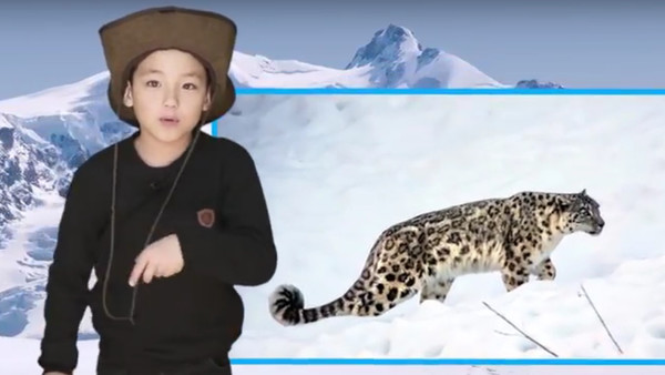 Видео — Юный зоолог Албан-Али из Каракола провел видеоурок для детей о снежном барсе