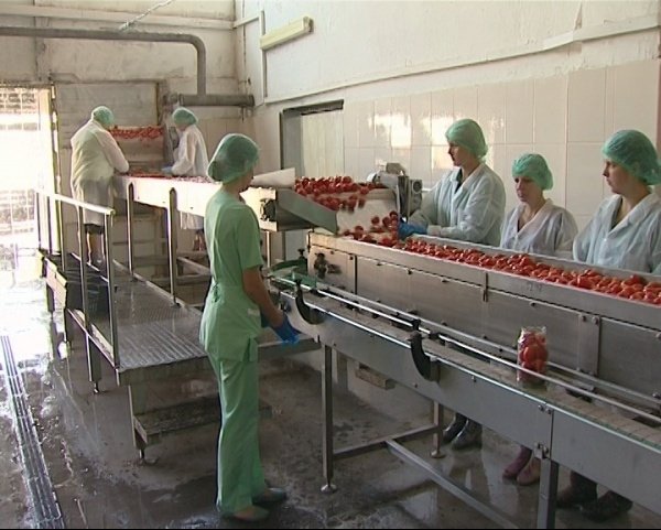 Правительство планирует построить новые заводы по производству плодоовощных консервов — Tazabek