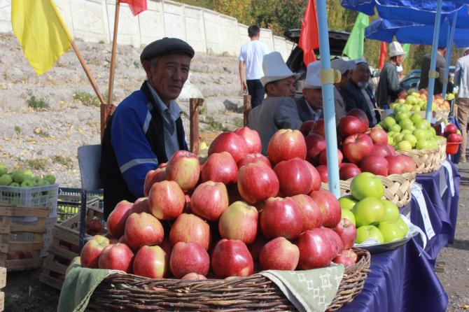 PR: Компаньон содействует развитию садоводства в Кыргызстане — Tazabek